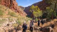 Hiking the Larapinta Trail |  Luke Tscharke