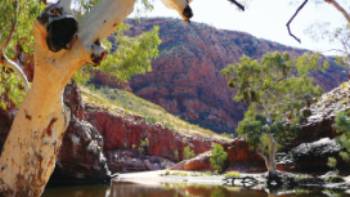 Ormiston Gorge in the Northern Territory