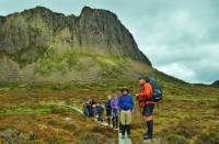 Pausing for interpretation from our guide on the Overland Track |  <i>Ashton Sayer</i>