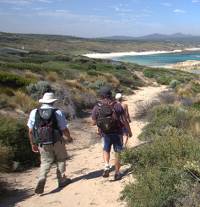 Walking on Flinders Island |  <i>Graham Freeman</i>