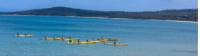 Kayaking Freycinet |  <i>Toni Wythes</i>