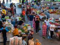 Explore Samarkand's colourful and lively market |  Lachlan Gardiner