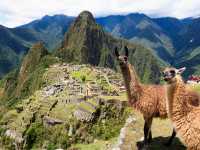Macchu Picchu